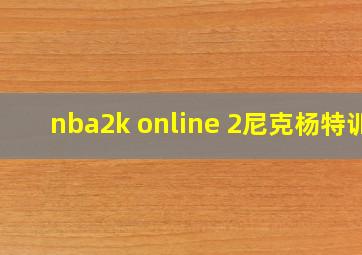 nba2k online 2尼克杨特训